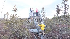 Ruth Bennett McDougal Dorrough; Katherine McDougal Wheeler McCandless; Ellery Kate Wheeler; Bradford Bog, NH